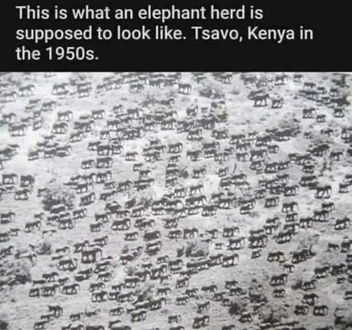 Screenshot_20250520_012147_Chrome