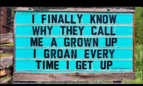 image_B0C9DE60-56A3-4A7A-898A-5D69EAA2BA3D