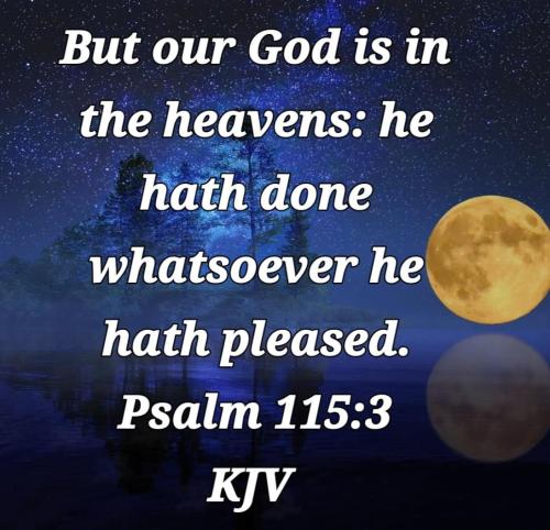 74265392-e715-44cd-b898-c5f404440953