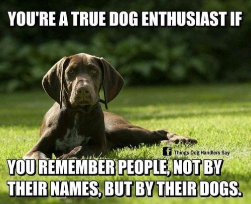 74e7824ce7570d574eb3f4be8ca3b1ac