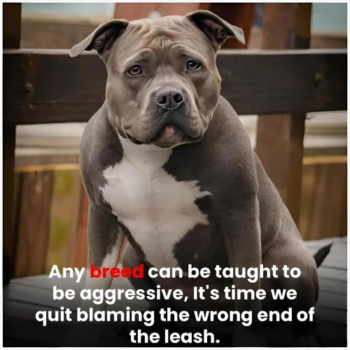 FB_IMG_1748553679229