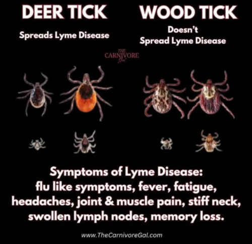 Screenshot 2025-05-28 151945