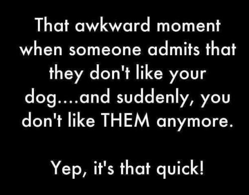 a4a215b7930ad9b97441843b564a8e03