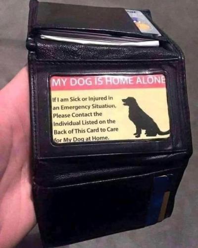 FB_IMG_1748216359362