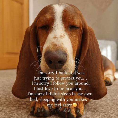 FB_IMG_1747574267550