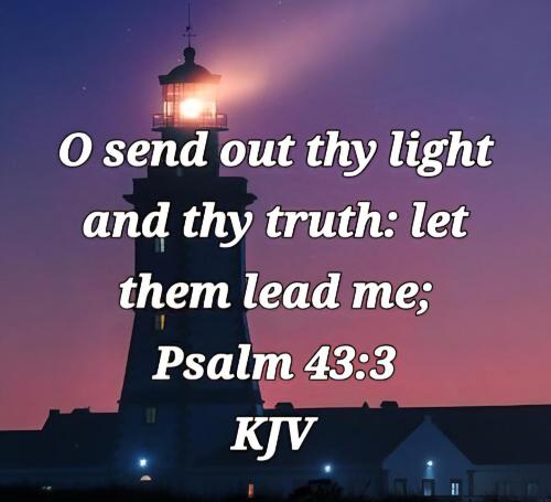 221b50f9-e0bf-44c6-8618-acd9ed3bae0c