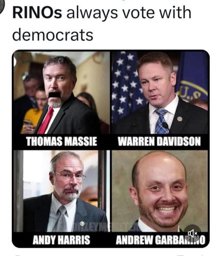 FB_IMG_1748269925815