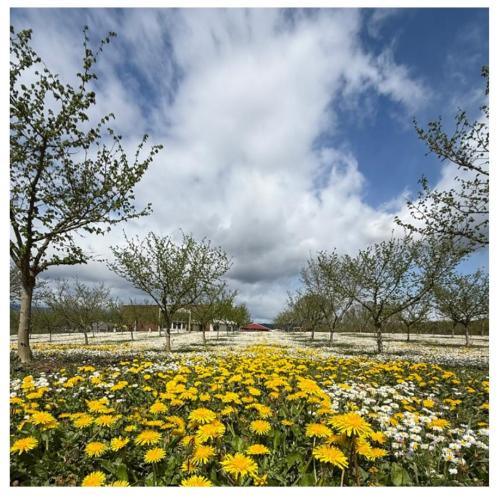 ebc47da5-0fce-49d9-acae-7afd02e236c6