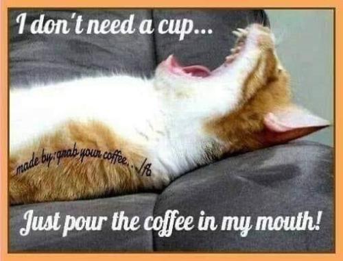 a1a930fe83e3b34b78b78304761cfe72