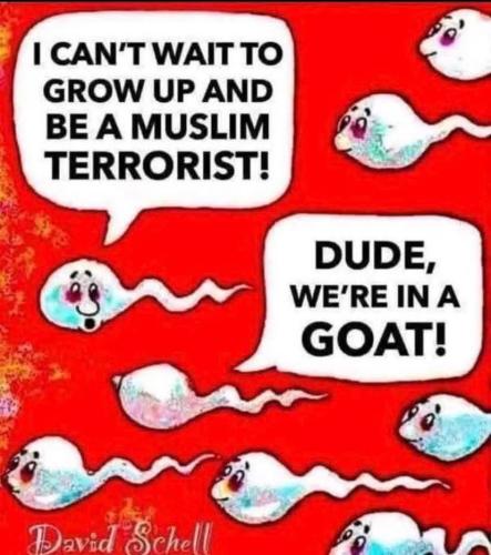 FB_IMG_1748038356664