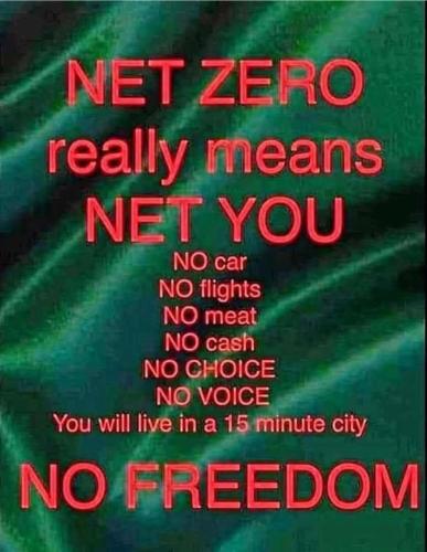 FB_IMG_1746379116368