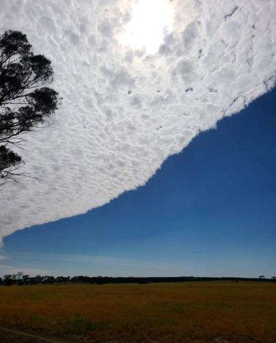 3f1b501b-84b9-4995-8460-28caad0b01c2