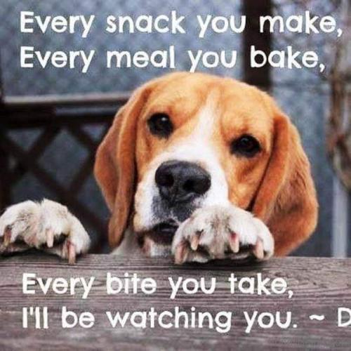 FB_IMG_1558449582312