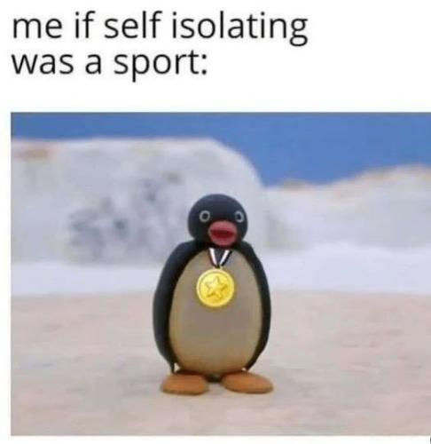 494098817_9596212263830781_4301910161265520173_n