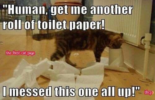 00fd0239416b79bfafdc3b55c2302424