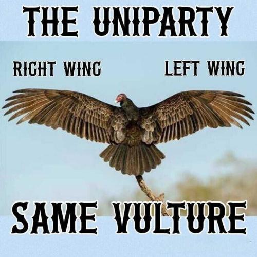 1cca936a-212a-416c-9f71-077b95693865