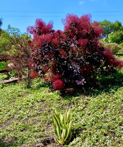 07259558-3796-42D9-9C42-F95290700BC3