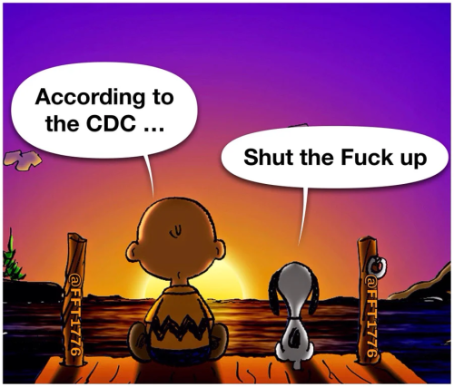 image_142A432E-40A8-49E6-9968-B2C227E17F96