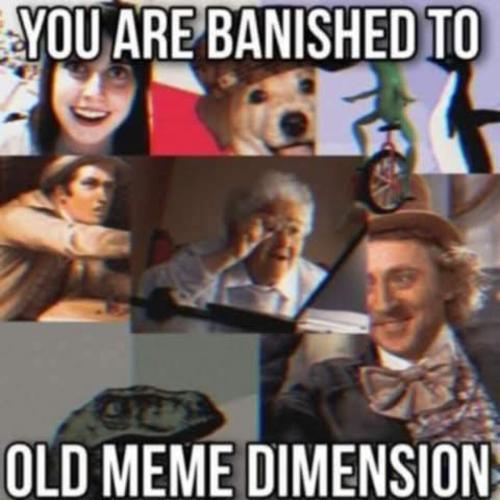 image_9E0EB488-343F-41C2-B753-79BA7CA2FC5E