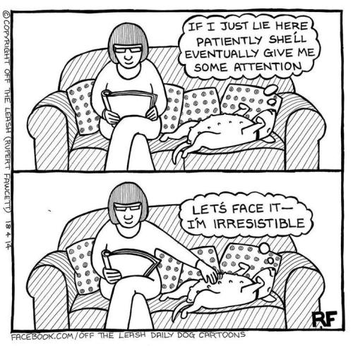 0570d3b05a6ae1eb71a2715ebac163f4