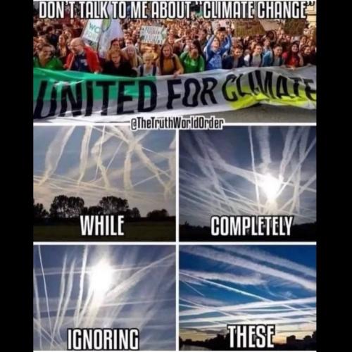 photo_2025-05-12_16-24-03