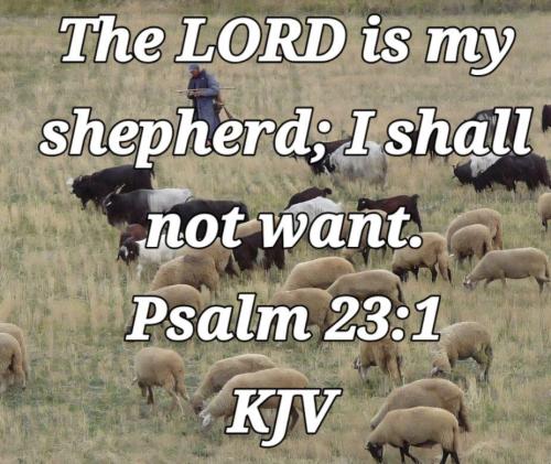 0aa633cc-3a5a-42f8-947c-594878bfc59a