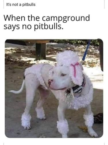 6b04139a5d2fc0af50a7f5a79eed1e04