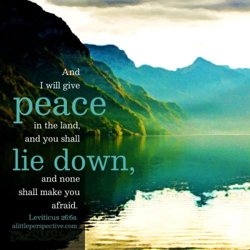 lev-26-6a-JPS-pixabay