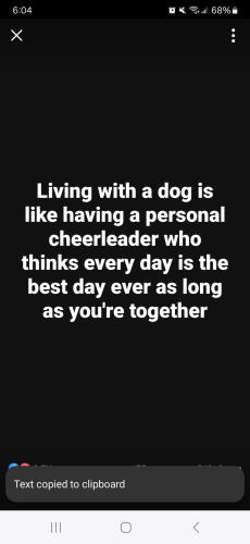 Screenshot_20250522_060408_Facebook