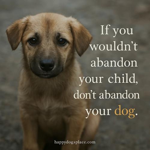 FB_IMG_1746540421630