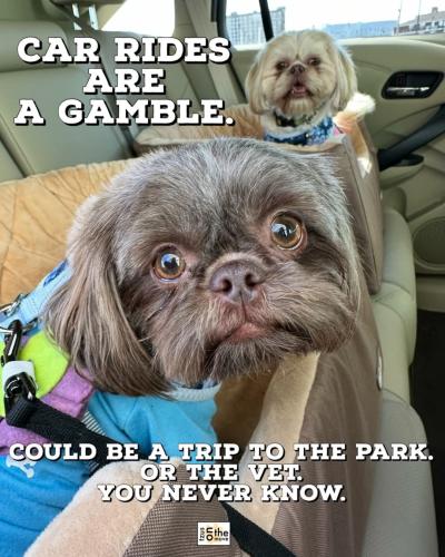 FB_IMG_1746488149846