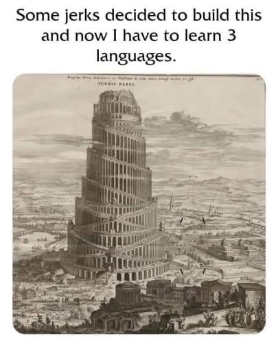 20250520_113201