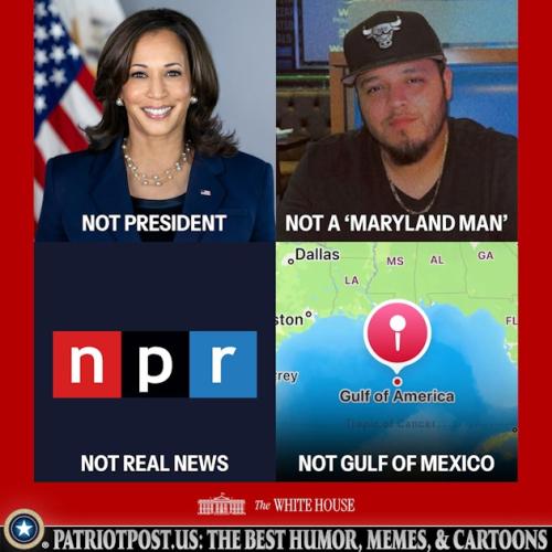 01JTM8BA1RH8H0NQ8BHHR76FD8