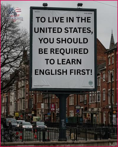 FB_IMG_1748640204326