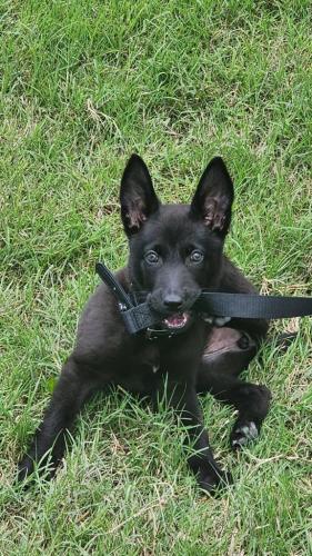 17449d36-1ad9-4e00-b83f-0e5c31b16bb5