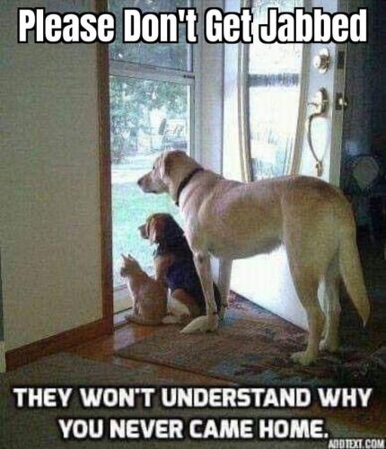 5a4a2f09fc642662688edaef98f6a530