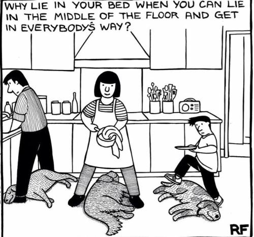 930795bafe98cbe1a2cf037b10c737b5