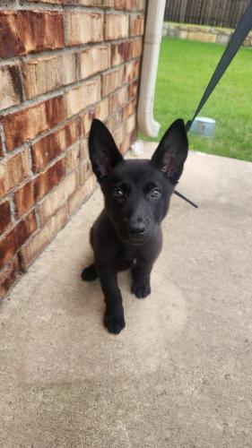 a364a6ae-6713-4c86-88e4-c1c2e47936d0