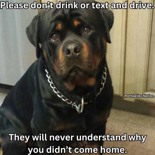 FB_IMG_1747676611620