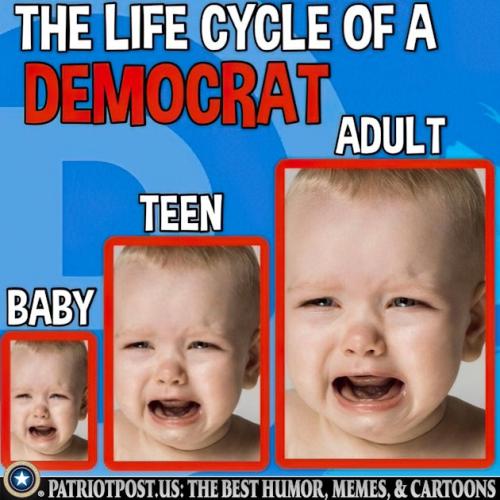 01JV90K81D72X69Y90XKBHAKHQ