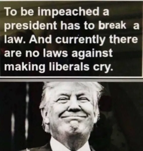 image_2025-05-05_061452078