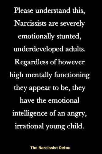 6fe20491-eba5-4dc0-9462-ebabd760bc4c