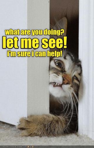 251200e6344bc004d4d75e906793747b