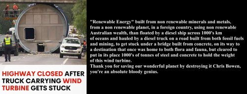 498602785_1429340961404360_8380461375297390104_n