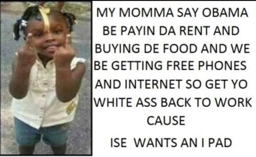 Screenshot_20250528-163833_Wimkin Free Speech Social Media