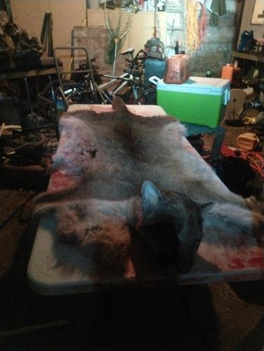 IMG_20250424_224241583