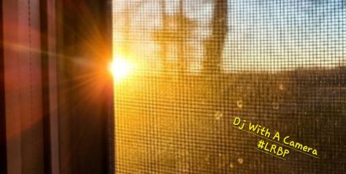 Screenshot_20250521_185049_Gallery