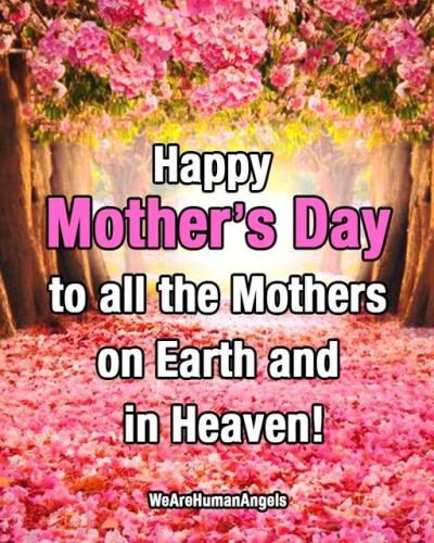 ,          ,  0424775766_746362