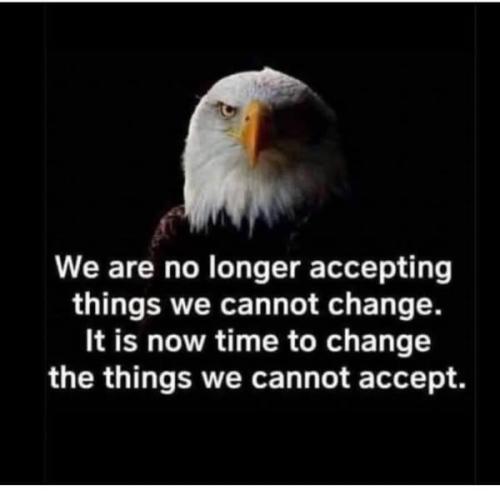 495967300_1231842998944641_7661460849409137620_n