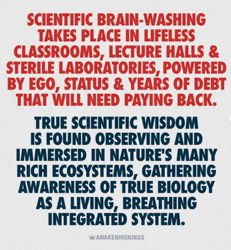 Screenshot 2025-04-26 103120